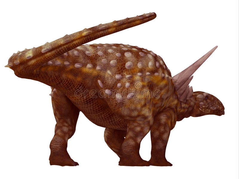 Dinosaur Tail stock image. Image of spinal, structure, pattern - 231011