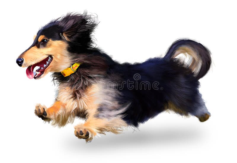 Sausage Dog Stock Illustrations 35,226 Sausage Dog Stock