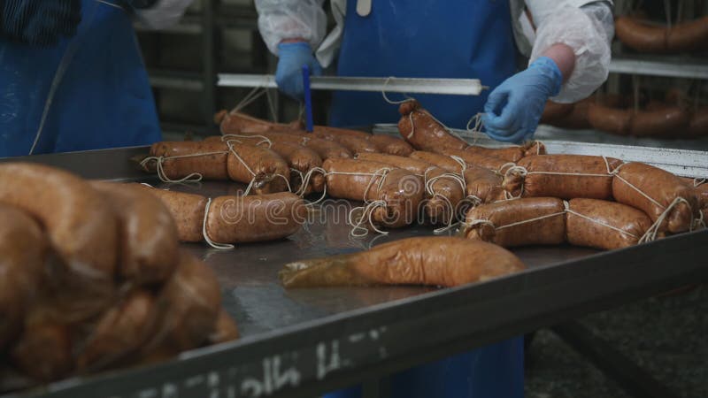Sausage factory process making fresh meat industry stock video footage