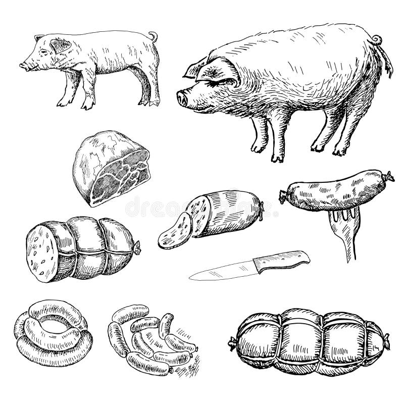 Sausage royalty free illustration Sausage royalty free illustration