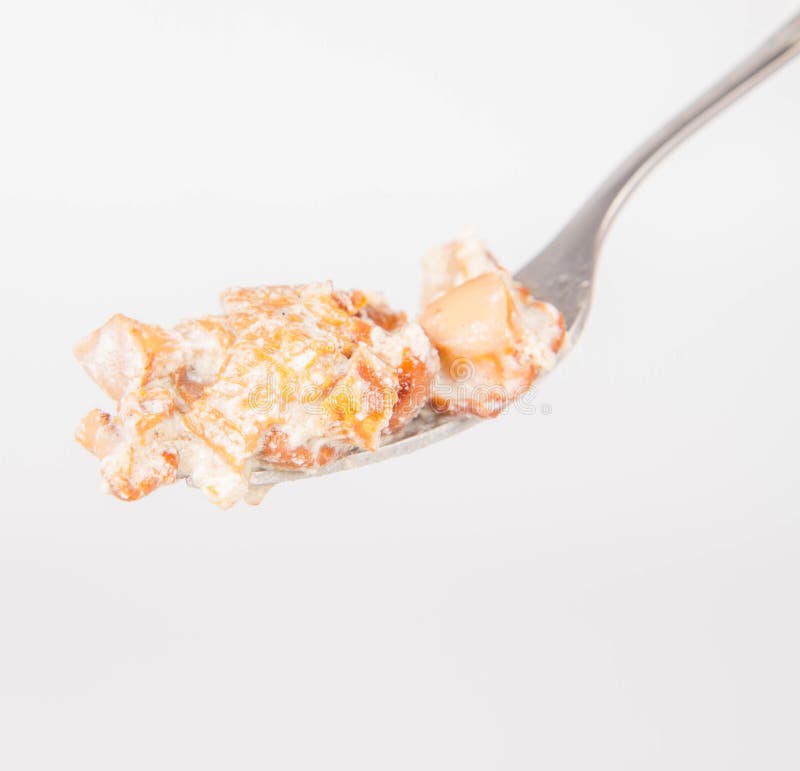 Sauteed chanterelle stock photo. Image of cutlery, dinner 75431052