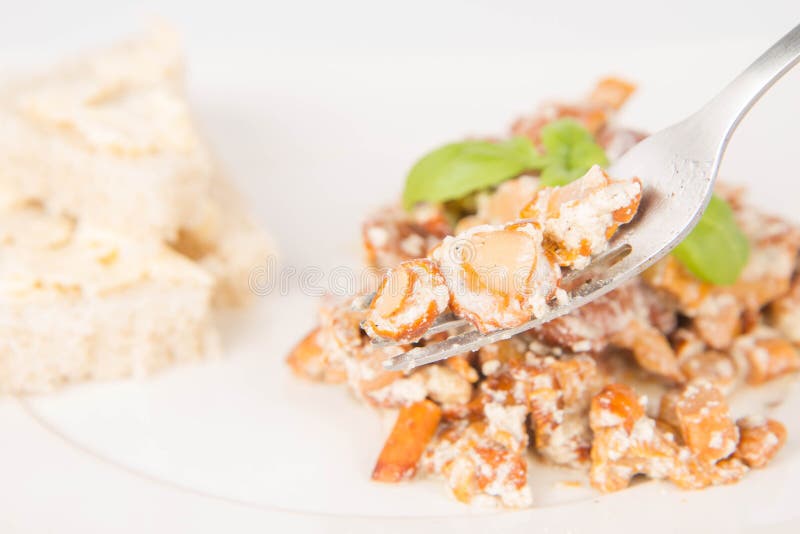 Sauteed chanterelle stock photo. Image of healthy, isolated 75431012