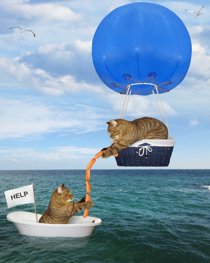 Sauveteur De Chat Dans Un Ballon A Air Chaud Bleu Photo Stock Image Du Chaud Deriver