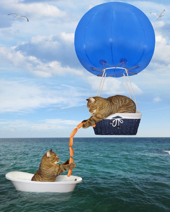 Sauveteur De Chat Dans Un Ballon A Air Chaud Bleu 2 Image Stock Image Du Voyage Humeur
