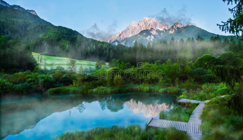 Sava spring, Zelenci, Slovenia stock image Sava spring, Zelenci, Slovenia stock image