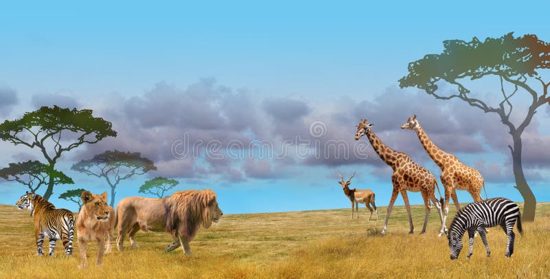 824,791 Wild Animals Stock Photos - Free & Royalty-Free Stock Photos from  Dreamstime