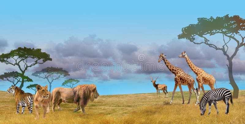 Savanna predators and prey wild animals group