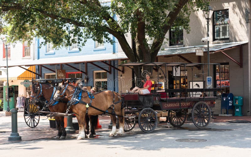 horse tours savannah