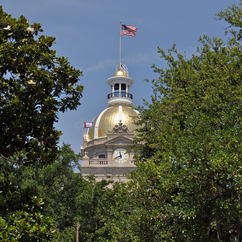 Savannah City Hall stock photo. Image of dome, flag, savannah 19580570