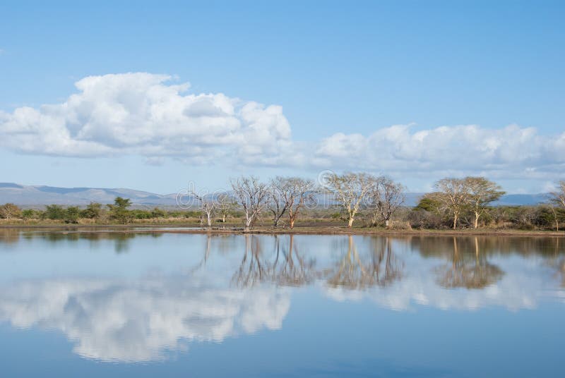 Savannah lake stock photo. Image of colorful, savannah 64296096