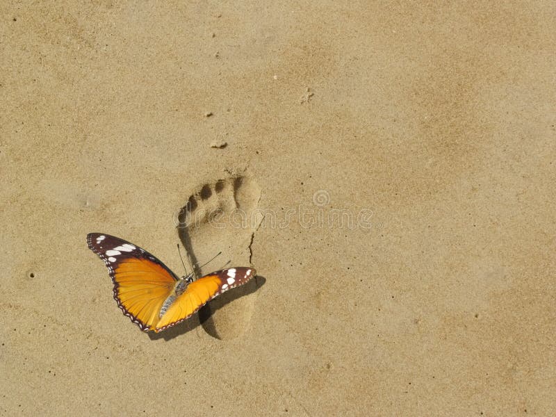 Save earth and nature, butterfly on footprint