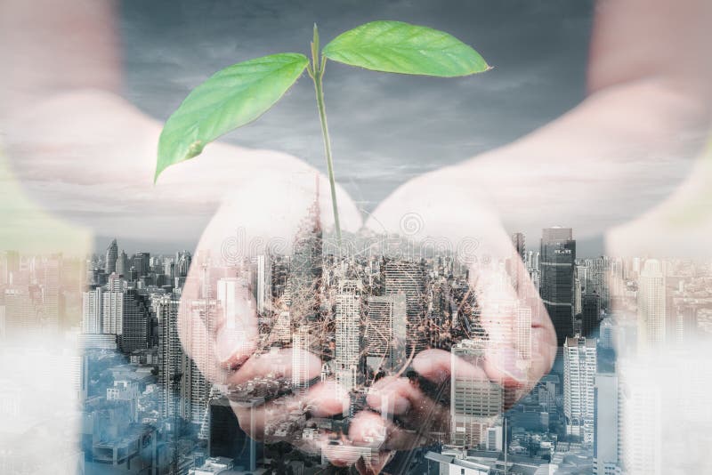 Save for Green Earth and Eco World Concept, Double Exposure Images of Woman Hands is Holding Seedling Tree and Soil on City