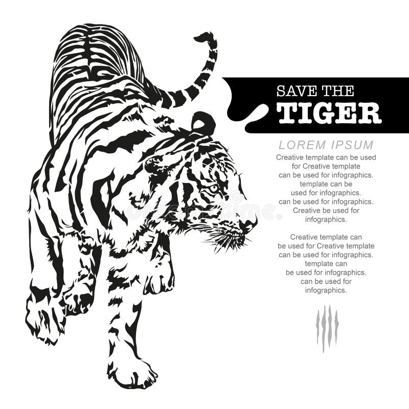 3086 Save Tiger Images Stock Photos  Vectors  Shutterstock