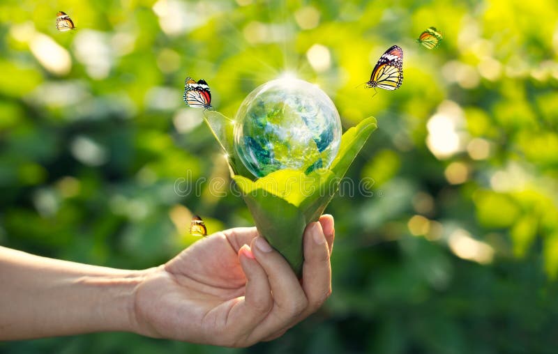 Saving Energy Concept, Earth Day Stock Photo - Image of environment ...