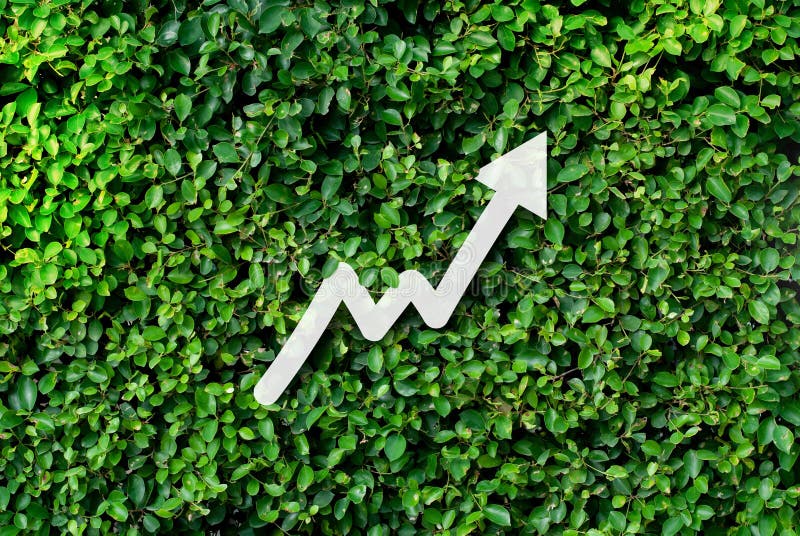 Saving money for growing business and future concept stock images Saving money for growing business and future concept stock images