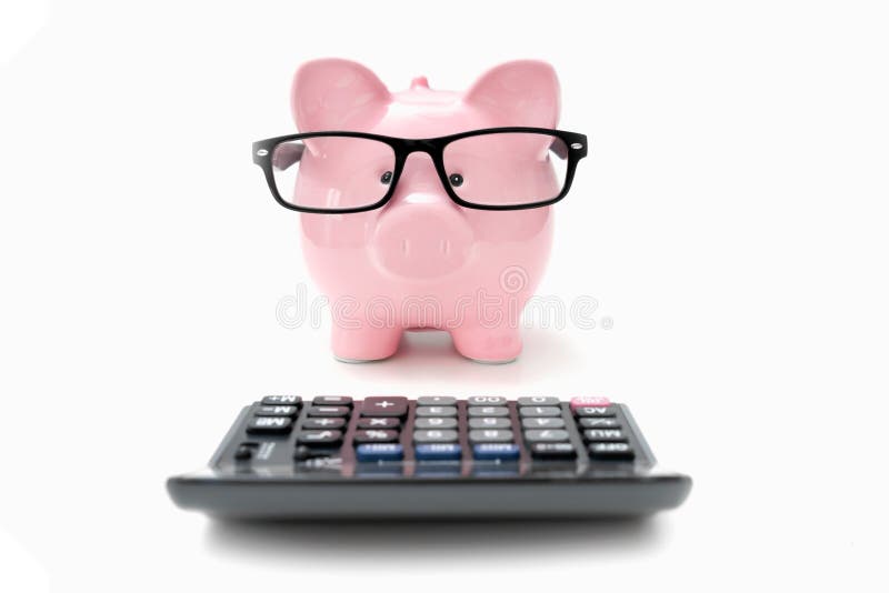 Savings and budget concept with piggy bank