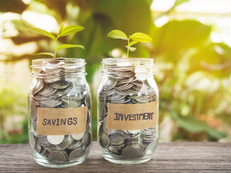 Savings And Investment, Money Growing Concept. Stock Image