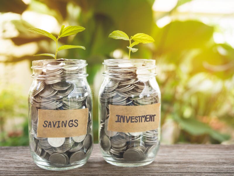 Savings And Investment Money Growing Concept Stock Image Image Of