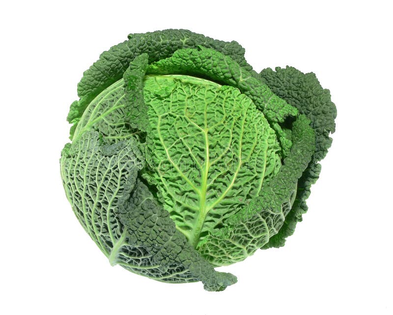 Savoy cabbage