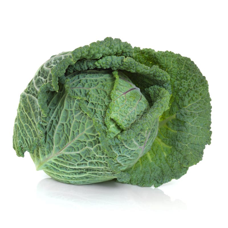 Savoy Cabbage