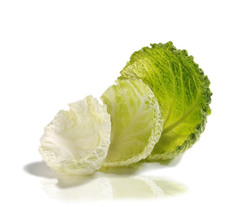 Savoy Cabbage