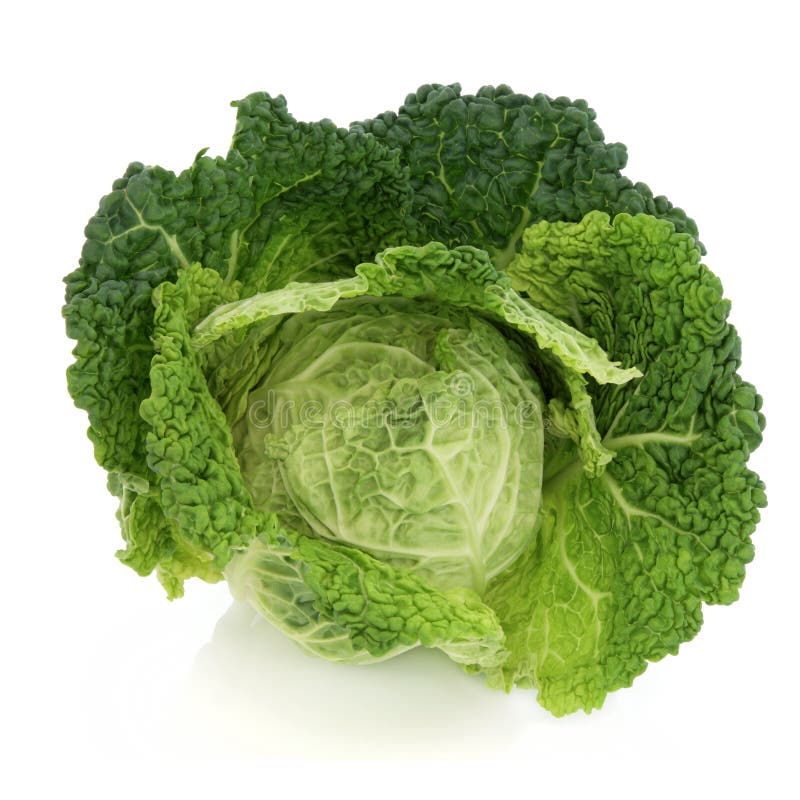 Savoy Cabbage