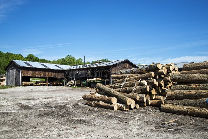 Saw logs,trees,saw mill,lumber