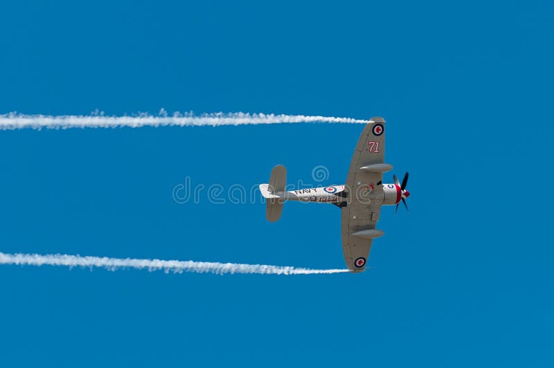 EDEN PRAIRIE, MN - JULY 16 2016: Hawker Sea Fury FB-11f flies overhead at air show. The Sea Fury was a British fighter aircraft developed during WW II and used by worldwide militaries until 1961. EDEN PRAIRIE, MN - JULY 16 2016: Hawker Sea Fury FB-11f flies overhead at air show. The Sea Fury was a British fighter aircraft developed during WW II and used by worldwide militaries until 1961.