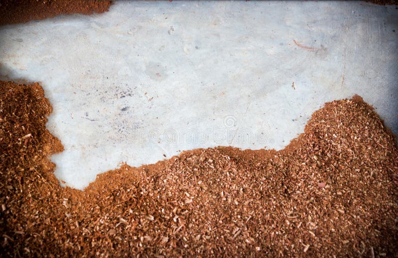 Sawdust on concrete floor. stock photo. Image of light 44945112