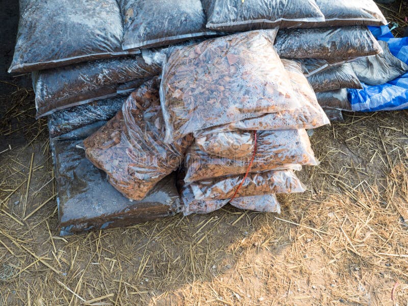 Sawdust and Fertilizer in the Plastic Bags Stock Image Image of field