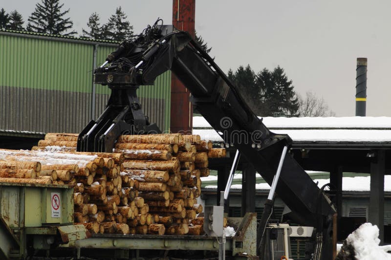 Wood Industry or Lumber Industry Sector, Production of Forest Products