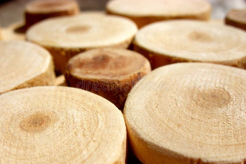 Sawn wood circles.