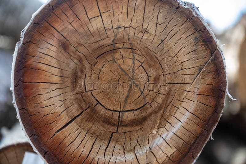 Sawn wood slit Birch