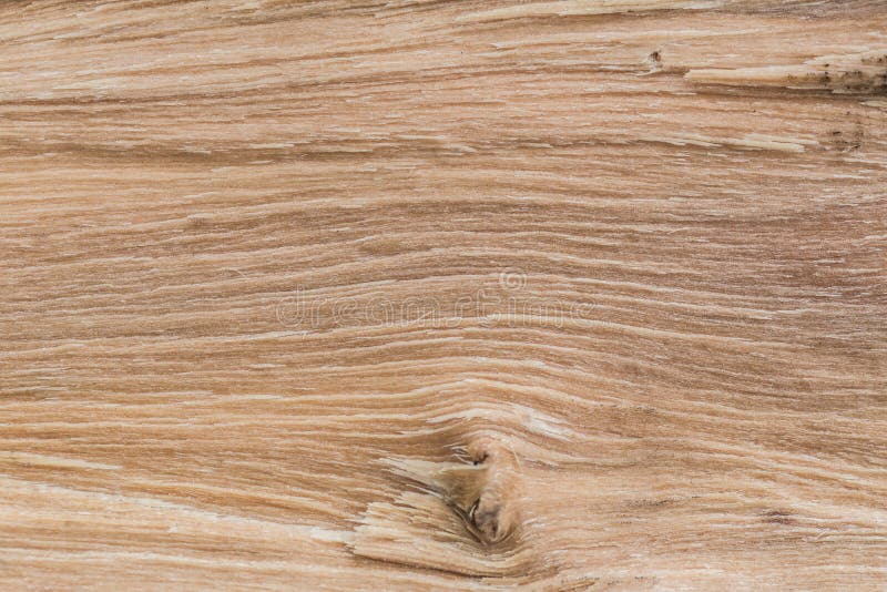 Sawn wood texture as background