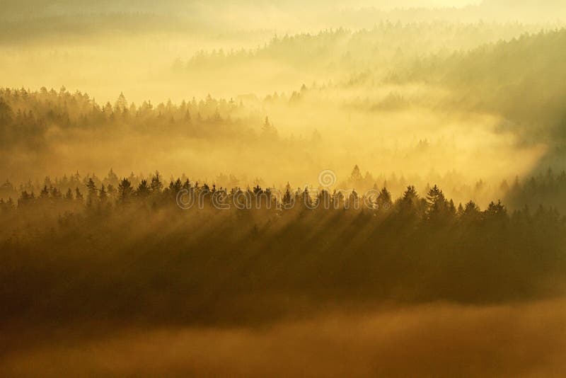 Saxony Switzerland park