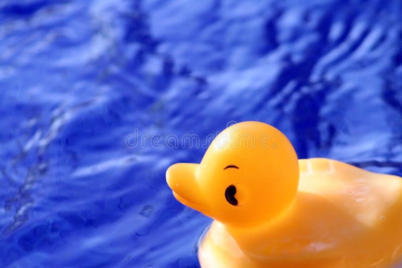 Say Duck stock image. Image of game, summertime, shower - 395579