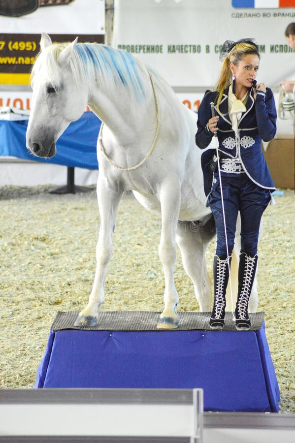 Sbarazzando la puleggia tenditrice di Hall Beautifully Woman in un vestito blu scuro vicino ad un cavallo Mostra internazionale d immagini stock libere da diritti Sbarazzando la puleggia tenditrice di Hall Beautifully Woman in un vestito blu scuro vicino ad un cavallo Mostra internazionale d immagini stock libere da diritti