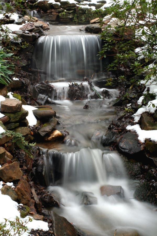 SC Botanical Gardens