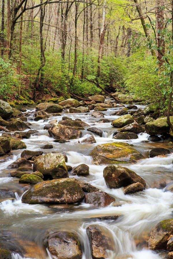 Sc hors de la ville de Saluda de rivière de courant moyen de truite images libres de droits Sc hors de la ville de Saluda de rivière de courant moyen de truite images libres de droits