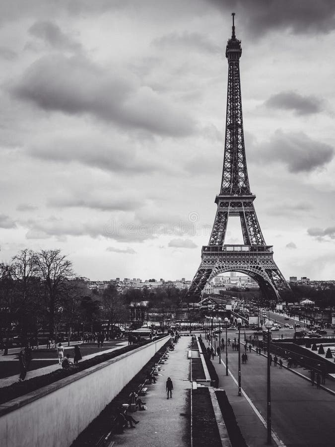 Scala di grigi verticale ripresa dalla torre eiffel immagine stock libera da diritti