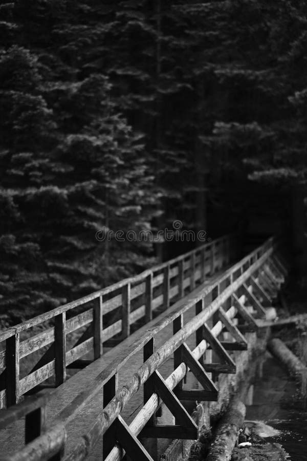 Scala di grigi verticale di un ponte di legno su un fiume del parco
