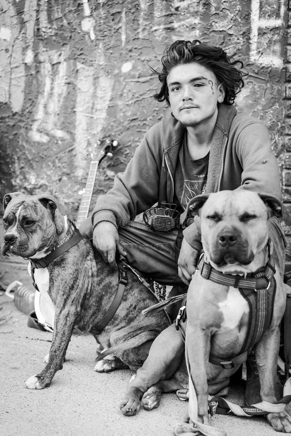 Scala di grigi verticale di un senzatetto e del suo cane su una strada di mascella canada immagine stock libera da diritti