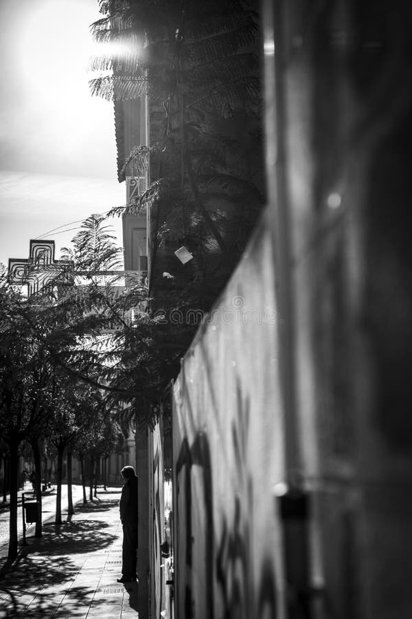 Scala di grigi verticale di una strada con alberi e una croce sullo sfondo fotografia stock libera da diritti