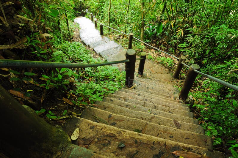 Scala di pietra sul parco naturale fotografia stock libera da diritti