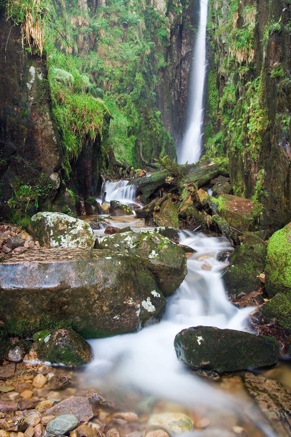 Scale Force Waterfall,Lake District,uk Stock Image Image of flora