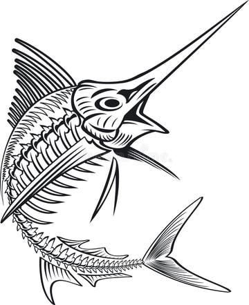 Swordfish Skeleton Stock Illustrations – 20 Swordfish Skeleton Stock ...