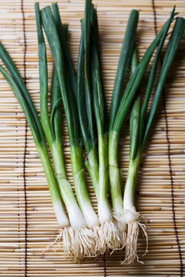 Scallions