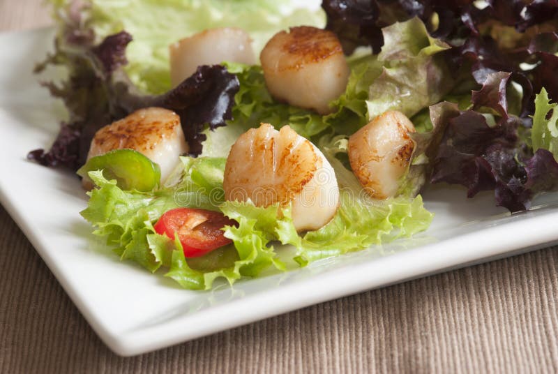 Scallop and leaf salad