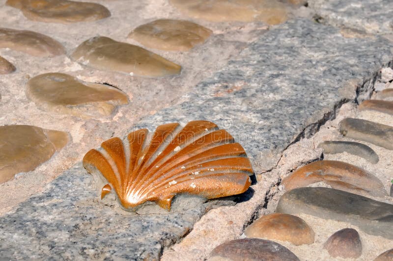 Scallop on the road no.1