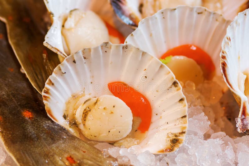 Scallops on a fish counter stock image. Image of saint 74354563